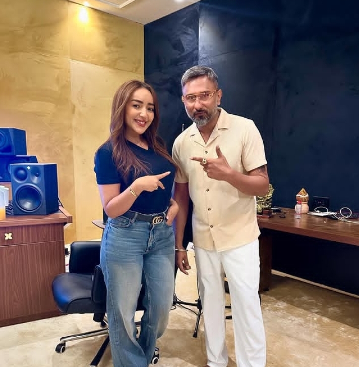 Yoyo Honey Singh Net Worth