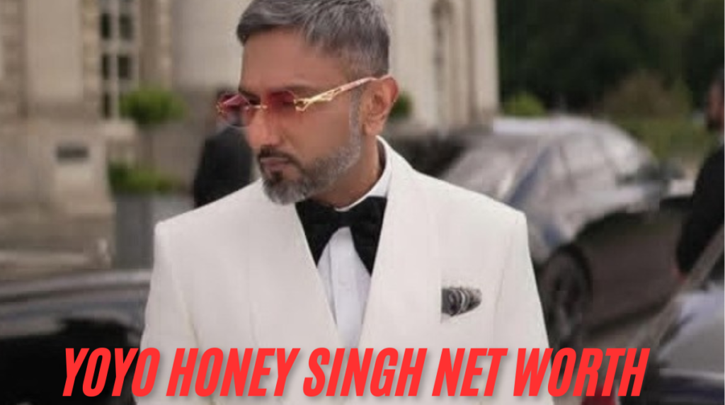 Yoyo Honey Singh Net Worth
